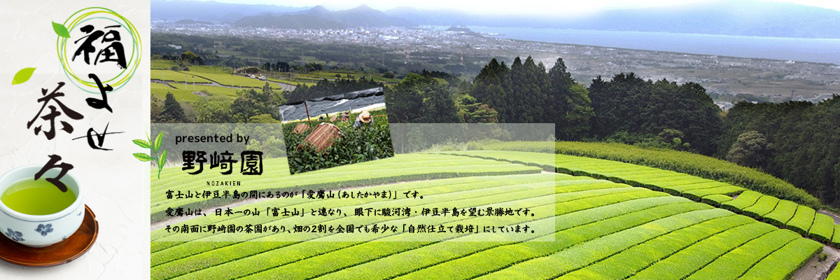 お茶用トップ画像